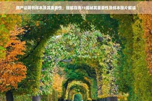 房产证明书样本及其重要性，图解指南??揭秘其重要性及样本图片解读