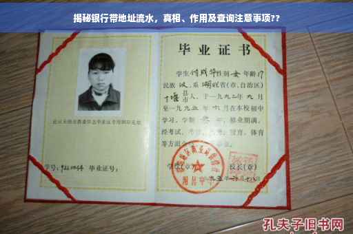 揭秘银行带地址流水，真相、作用及查询注意事项??