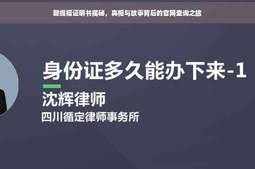 碧缇福证明书揭秘，真相与故事背后的官网查询之旅