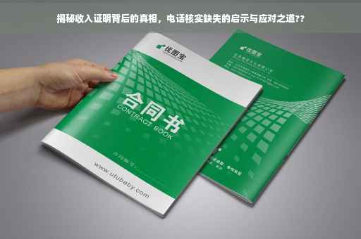 揭秘收入证明背后的真相，电话核实缺失的启示与应对之道??