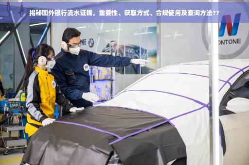 揭秘国外银行流水证据，重要性、获取方式、合规使用及查询方法??