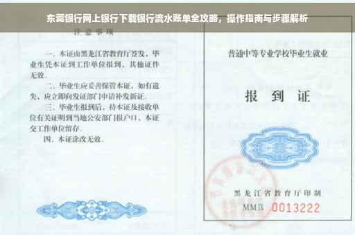东莞银行网上银行下载银行流水账单全攻略，操作指南与步骤解析
