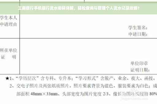 工商银行手机银行流水密码详解，轻松查询与管理个人流水记录攻略?