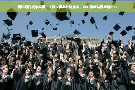 揭秘银行流水真相，工资少但其他流水多，应对策略与深度解析??