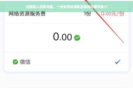 出国收入证明详解，一份详尽指南助你顺利办理手续??