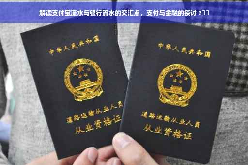 解读支付宝流水与银行流水的交汇点，支付与金融的探讨 ?⚡️