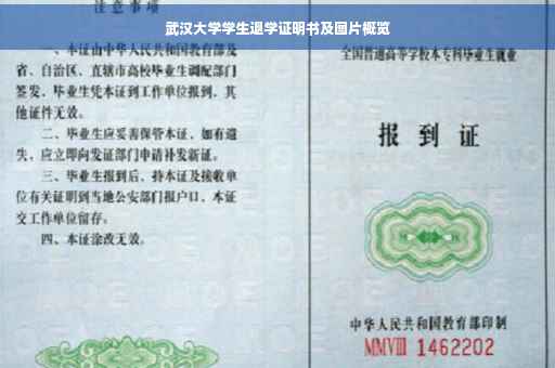 武汉大学学生退学证明书及图片概览