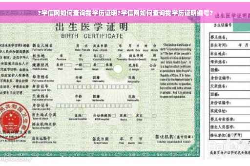 ?学信网如何查询我学历证明?学信网如何查询我学历证明编号?