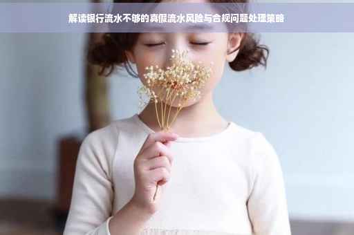 解读银行流水不够的真假流水风险与合规问题处理策略