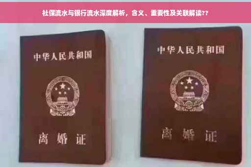 社保流水与银行流水深度解析，含义、重要性及关联解读??