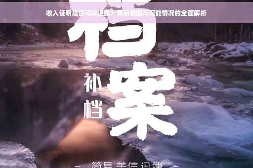 收入证明是否可以退款？背后原因与可能情况的全面解析