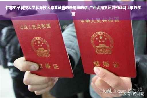 桂林电子科技大学北海校区毕业证盖的是那里的章,广西北海货运资格证网上申领步骤