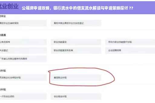 公租房申请攻略，银行流水中的借支流水解读与申请策略探讨 ??