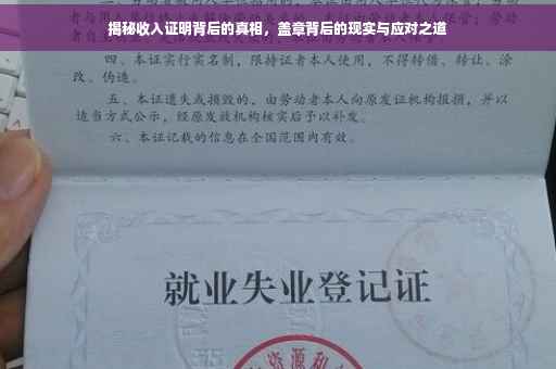 揭秘收入证明背后的真相，盖章背后的现实与应对之道
