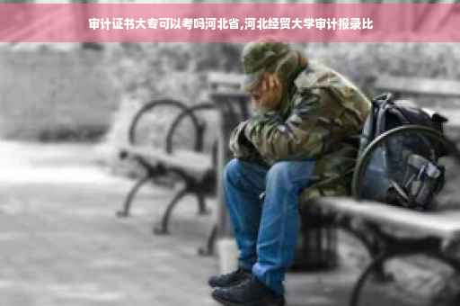 审计证书大专可以考吗河北省,河北经贸大学审计报录比