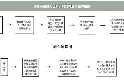 房贷不查收入证明，现实考量与应对策略