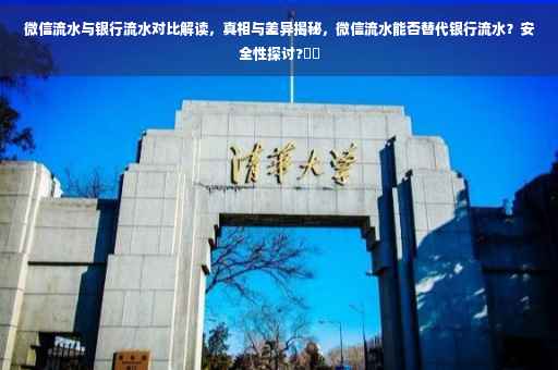 微信流水与银行流水对比解读，真相与差异揭秘，微信流水能否替代银行流水？安全性探讨?⚡️