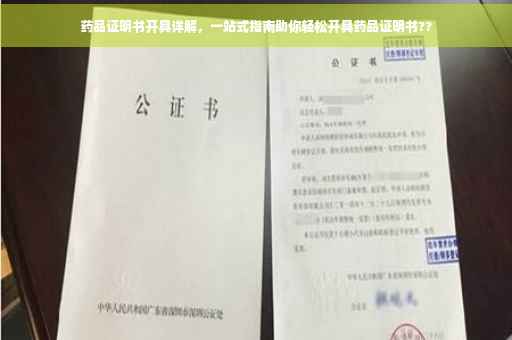 药品证明书开具详解，一站式指南助你轻松开具药品证明书??