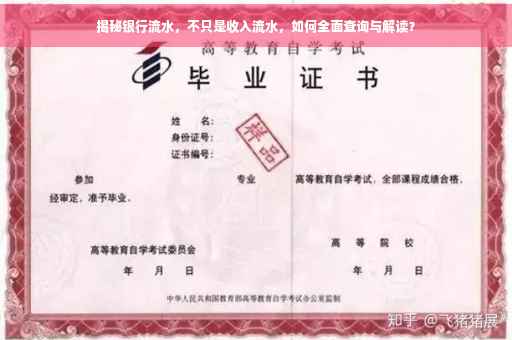 揭秘银行流水，不只是收入流水，如何全面查询与解读？