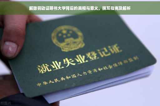 解除劳动证明书大学背后的真相与意义，撰写指南及解析