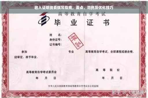 收入证明摘要撰写指南，要点、范例及优化技巧