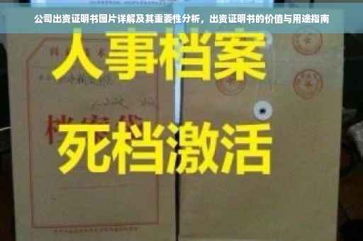 公司出资证明书图片详解及其重要性分析，出资证明书的价值与用途指南