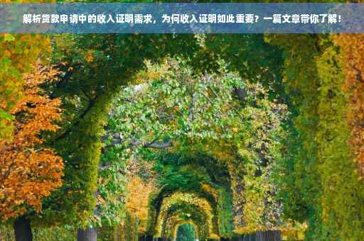 解析货款申请中的收入证明需求，为何收入证明如此重要？一篇文章带你了解！