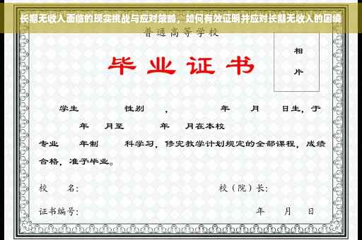 长期无收入面临的现实挑战与应对策略，如何有效证明并应对长期无收入的困境