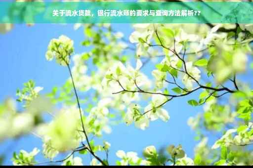 关于流水贷款，银行流水账的要求与查询方法解析??