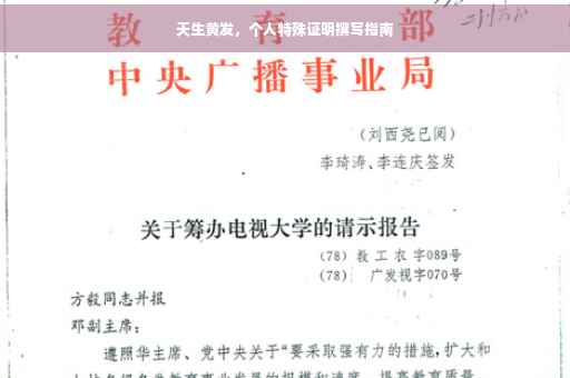 天生黄发，个人特殊证明撰写指南