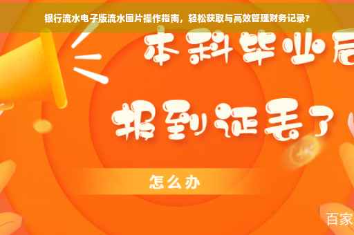 银行流水电子版流水图片操作指南，轻松获取与高效管理财务记录?