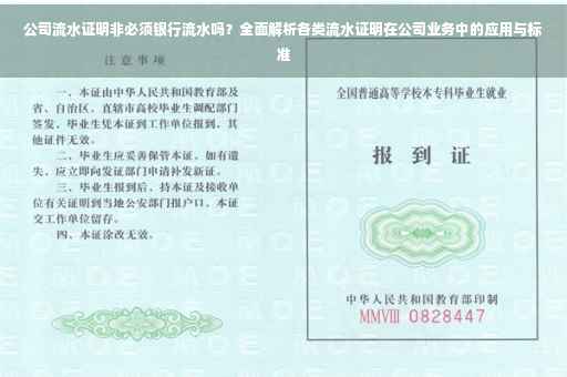 公司流水证明非必须银行流水吗？全面解析各类流水证明在公司业务中的应用与标准