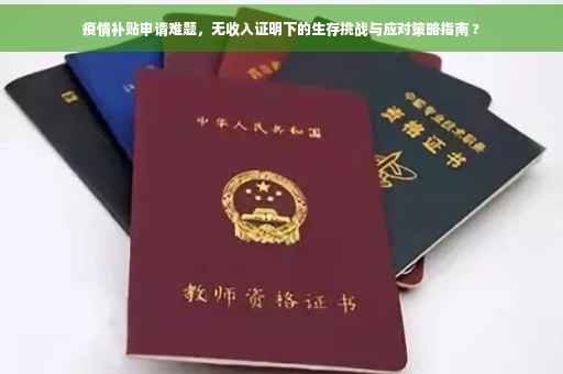疫情补贴申请难题，无收入证明下的生存挑战与应对策略指南 ?