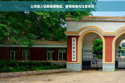 公司收入证明截图模板，使用指南与注意事项