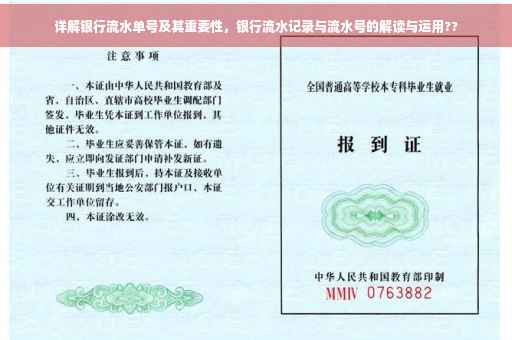 详解银行流水单号及其重要性，银行流水记录与流水号的解读与运用??