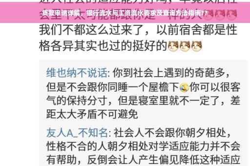 贷款申请详解，银行流水与工资流水要求及查询方法指南??