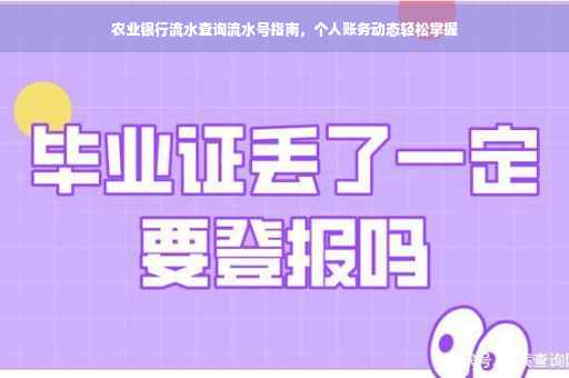 农业银行流水查询流水号指南，个人账务动态轻松掌握