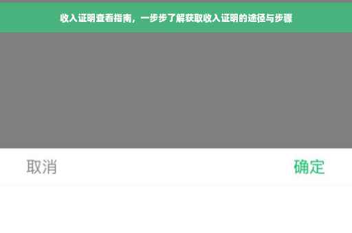 收入证明查看指南，一步步了解获取收入证明的途径与步骤