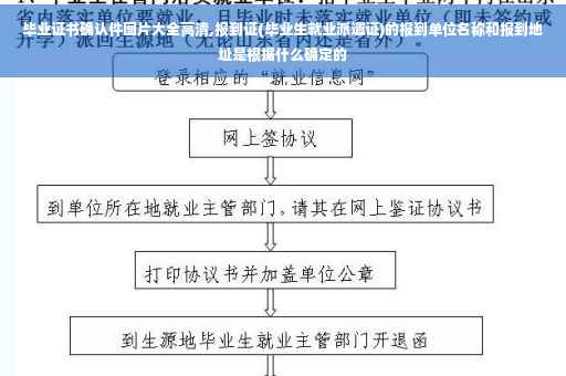 毕业证书确认件图片大全高清,报到证(毕业生就业派遣证)的报到单位名称和报到地址是根据什么确定的