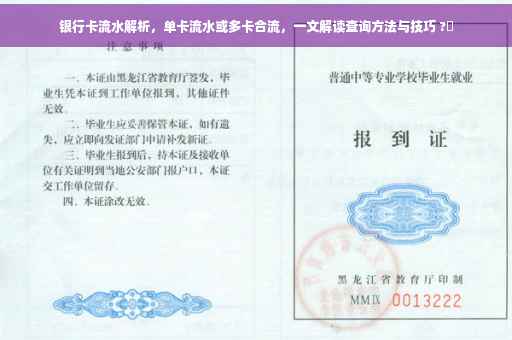 银行卡流水解析，单卡流水或多卡合流，一文解读查询方法与技巧 ?✨