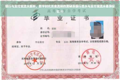 银行与支付宝流水解析，数字时代资金流转的奥秘及银行流水与支付宝流水差异探究 ??