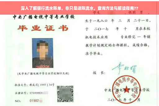 深入了解银行流水账单，非只是进账流水，查询方法与解读指南??