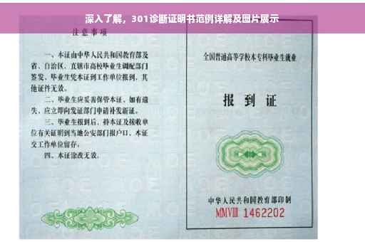深入了解，301诊断证明书范例详解及图片展示