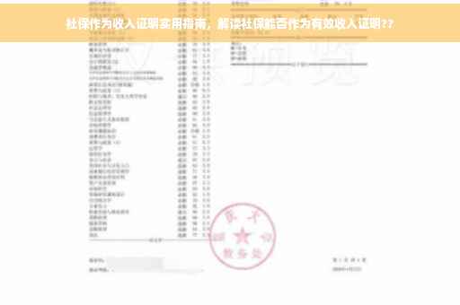 社保作为收入证明实用指南，解读社保能否作为有效收入证明??