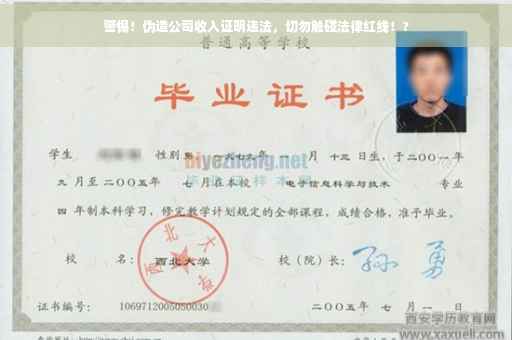 警惕！伪造公司收入证明违法，切勿触碰法律红线！?