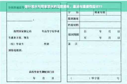 银行流水与现金流水的深度解析，差异与重要性探讨??