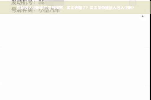 揭秘收入证明中的隐形秘密，奖金去哪了？奖金是否被纳入收入证明？