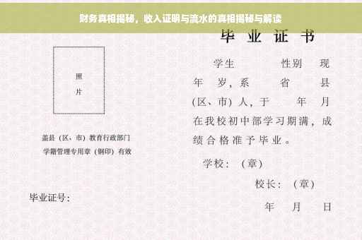 财务真相揭秘，收入证明与流水的真相揭秘与解读