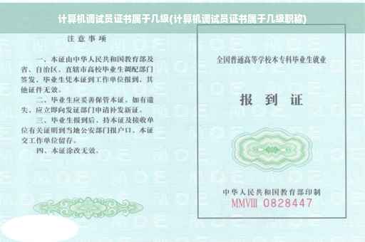 计算机调试员证书属于几级(计算机调试员证书属于几级职称)