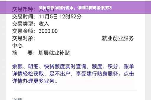 如何制作净银行流水，详细指南与操作技巧